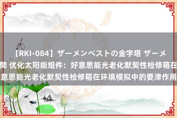 【RKI-084】ザーメンベストの金字塔 ザーメン大好き2000発 24時間 优化太阳能组件：好意思能光老化默契性检修箱在环境模拟中的要津作用