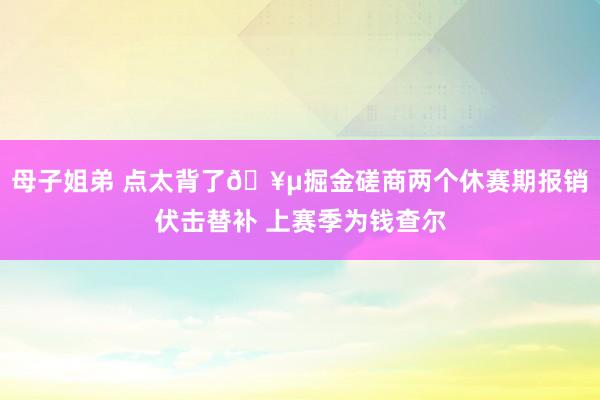 母子姐弟 点太背了?掘金磋商两个休赛期报销伏击替补 上赛季为钱查尔