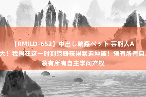 【RMILD-652】中出し輪姦ペット 芸能人AYA 亚洲最大！我国在这一时刻范畴获得紧迫冲破！领有所有自主学问产权