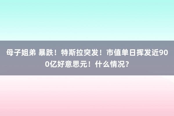 母子姐弟 暴跌！特斯拉突发！市值单日挥发近900亿好意思元！什么情况？