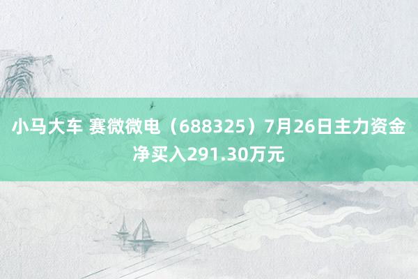 小马大车 赛微微电（688325）7月26日主力资金净买入291.30万元