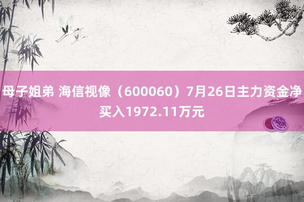 母子姐弟 海信视像（600060）7月26日主力资金净买入1972.11万元