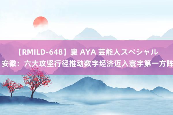 【RMILD-648】裏 AYA 芸能人スペシャル 安徽：六大攻坚行径推动数字经济迈入寰宇第一方阵