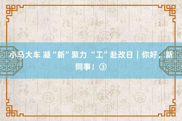 小马大车 凝“新”聚力 “工”赴改日┃你好，新同事！③