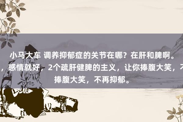 小马大车 调养抑郁症的关节在哪？在肝和脾啊。肝脾好了，感情就好，2个疏肝健脾的主义，让你捧腹大笑，不再抑郁。