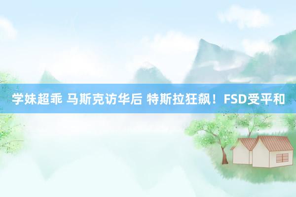 学妹超乖 马斯克访华后 特斯拉狂飙！FSD受平和