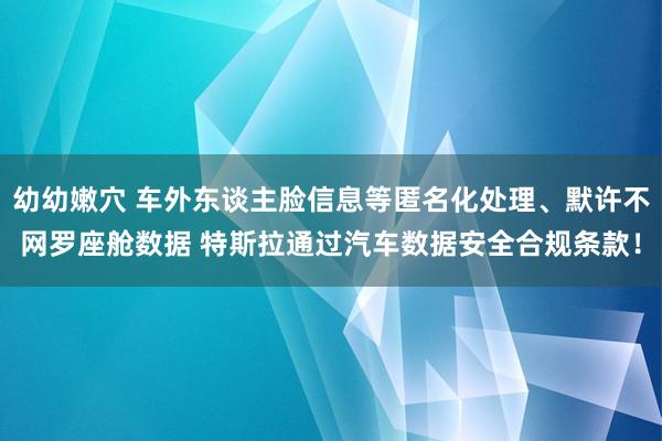 幼幼嫩穴 车外东谈主脸信息等匿名化处理、默许不网罗座舱数据 特斯拉通过汽车数据安全合规条款！