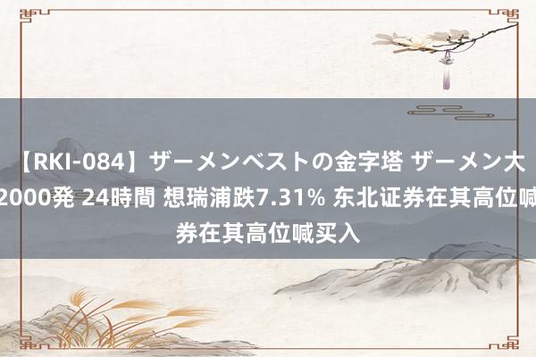 【RKI-084】ザーメンベストの金字塔 ザーメン大好き2000発 24時間 想瑞浦跌7.31% 东北证券在其高位喊买入