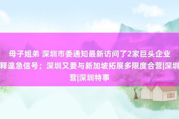 母子姐弟 深圳市委通知最新访问了2家巨头企业，开释遑急信号；深圳又要与新加坡拓展多限度合营|深圳特事