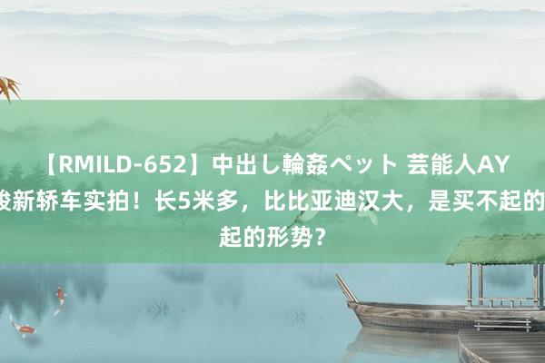 【RMILD-652】中出し輪姦ペット 芸能人AYA 宝骏新轿车实拍！长5米多，比比亚迪汉大，是买不起的形势？