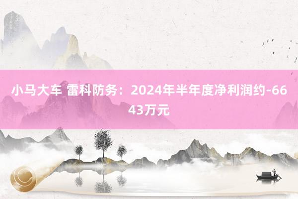 小马大车 雷科防务：2024年半年度净利润约-6643万元