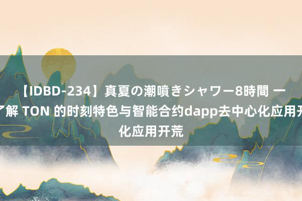 【IDBD-234】真夏の潮噴きシャワー8時間 一文了解 TON 的时刻特色与智能合约dapp去中心化应用开荒