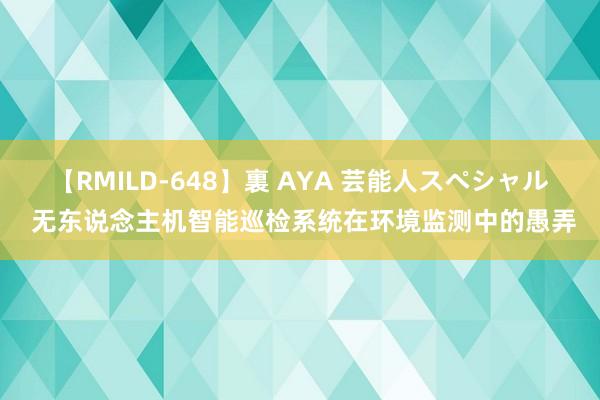 【RMILD-648】裏 AYA 芸能人スペシャル 无东说念主机智能巡检系统在环境监测中的愚弄