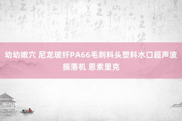 幼幼嫩穴 尼龙玻纤PA66毛刺料头塑料水口超声波振落机 恩索里克