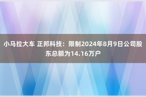 小马拉大车 正邦科技：限制2024年8月9日公司股东总额为14.16万户