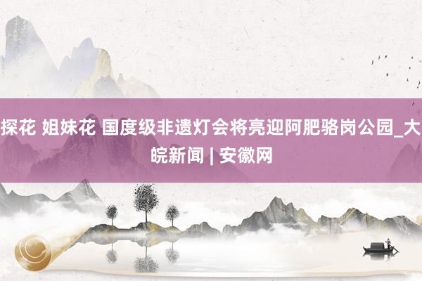 探花 姐妹花 国度级非遗灯会将亮迎阿肥骆岗公园_大皖新闻 | 安徽网