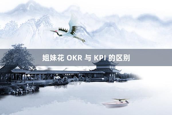 姐妹花 OKR 与 KPI 的区别