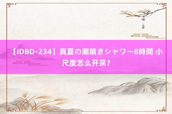 【IDBD-234】真夏の潮噴きシャワー8時間 小尺度怎么开采？