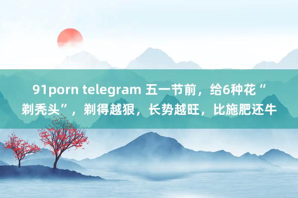 91porn telegram 五一节前，给6种花“剃秃头”，剃得越狠，长势越旺，比施肥还牛