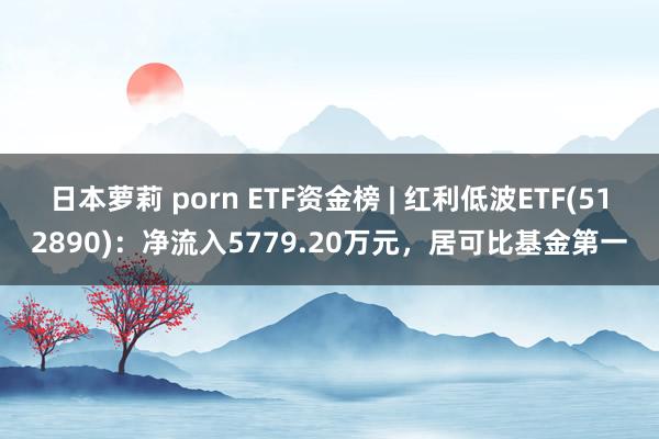 日本萝莉 porn ETF资金榜 | 红利低波ETF(512890)：净流入5779.20万元，居可比基金第一