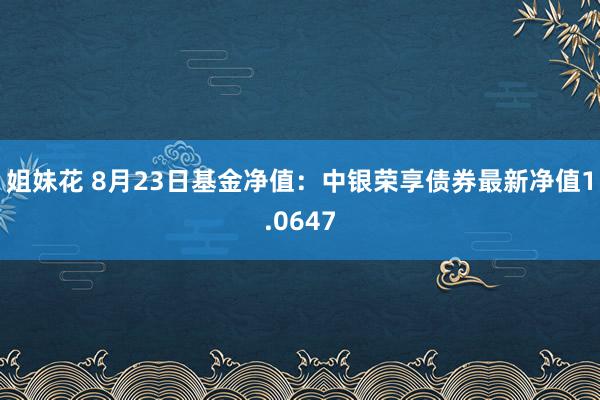 姐妹花 8月23日基金净值：中银荣享债券最新净值1.0647