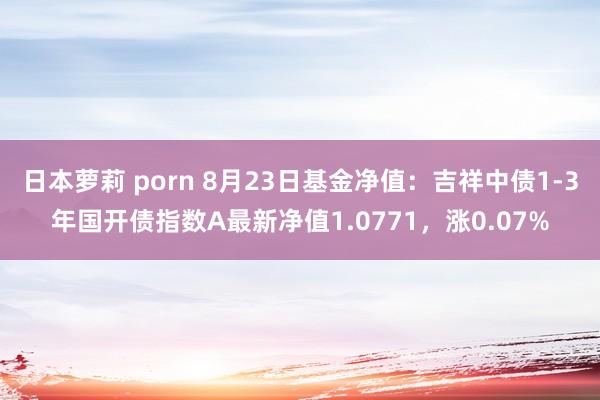 日本萝莉 porn 8月23日基金净值：吉祥中债1-3年国开债指数A最新净值1.0771，涨0.07%