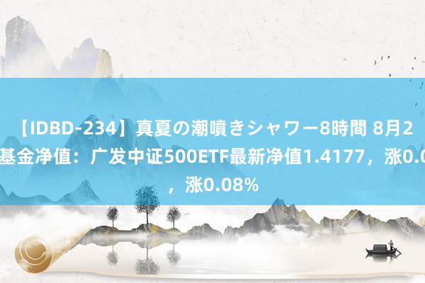 【IDBD-234】真夏の潮噴きシャワー8時間 8月23日基金净值：广发中证500ETF最新净值1.4177，涨0.08%