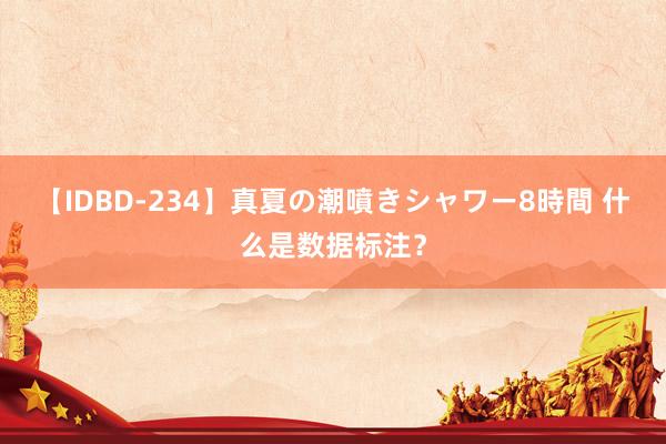 【IDBD-234】真夏の潮噴きシャワー8時間 什么是数据标注？