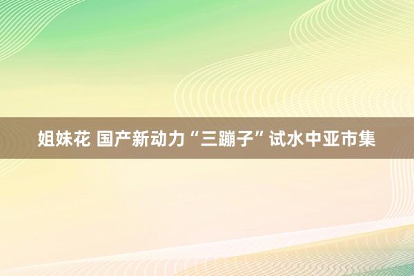 姐妹花 国产新动力“三蹦子”试水中亚市集