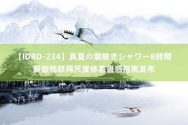 【IDBD-234】真夏の潮噴きシャワー8時間 新版物联网尺度体系蛊惑指南发布