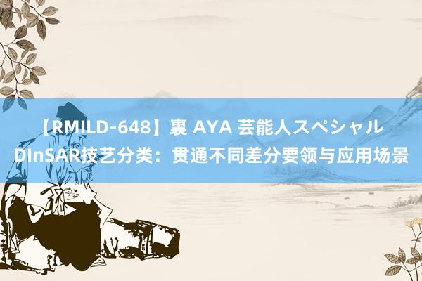 【RMILD-648】裏 AYA 芸能人スペシャル DInSAR技艺分类：贯通不同差分要领与应用场景