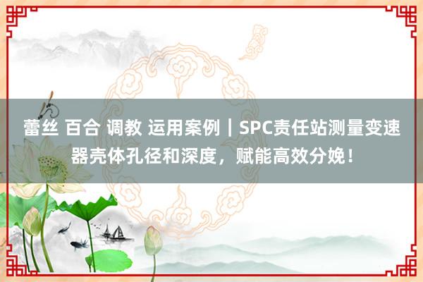 蕾丝 百合 调教 运用案例｜SPC责任站测量变速器壳体孔径和深度，赋能高效分娩！