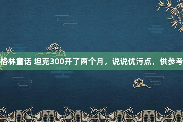 格林童话 坦克300开了两个月，说说优污点，供参考