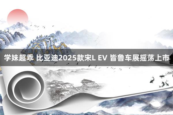 学妹超乖 比亚迪2025款宋L EV 皆鲁车展摇荡上市