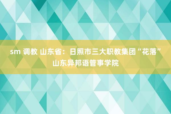 sm 调教 山东省：日照市三大职教集团“花落”山东异邦语管事学院