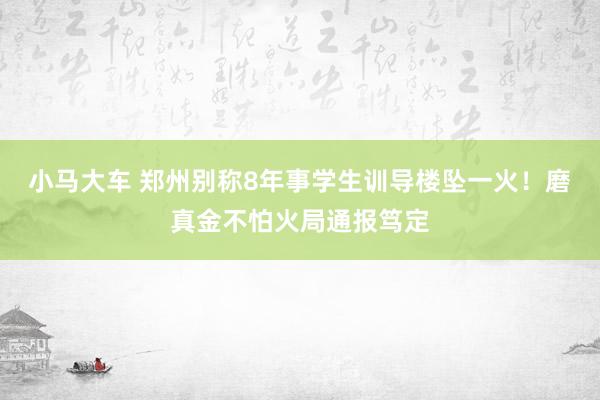 小马大车 郑州别称8年事学生训导楼坠一火！磨真金不怕火局通报笃定