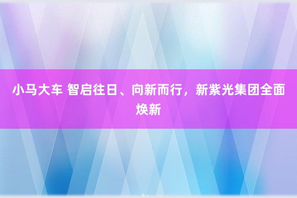 小马大车 智启往日、向新而行，新紫光集团全面焕新