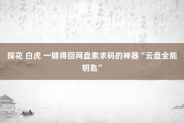 探花 白虎 一键得回网盘索求码的神器“云盘全能钥匙”