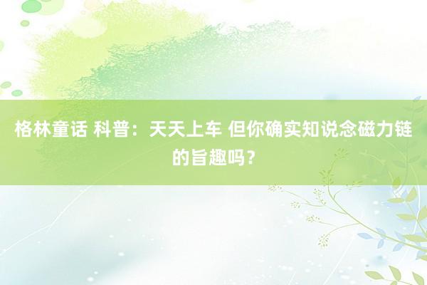 格林童话 科普：天天上车 但你确实知说念磁力链的旨趣吗？