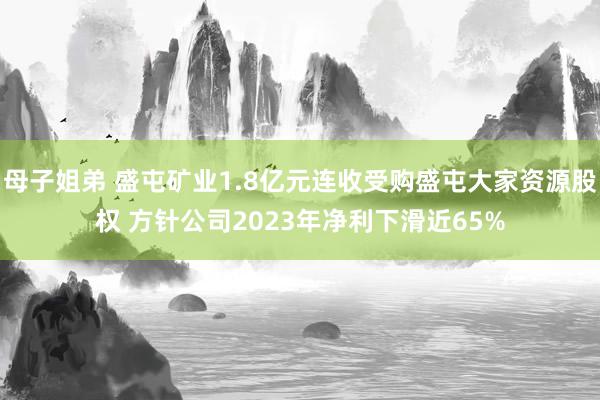 母子姐弟 盛屯矿业1.8亿元连收受购盛屯大家资源股权 方针公司2023年净利下滑近65%